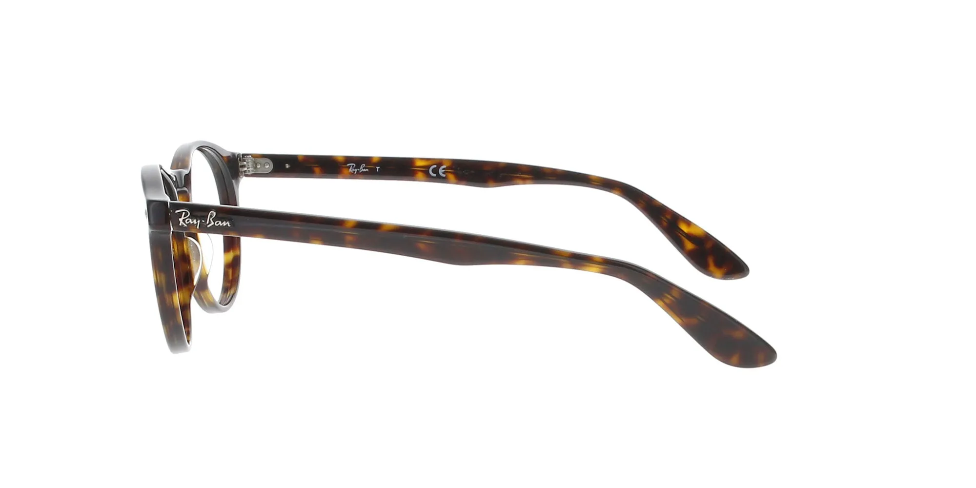 Glossy Havana RAYBAN Round Frame