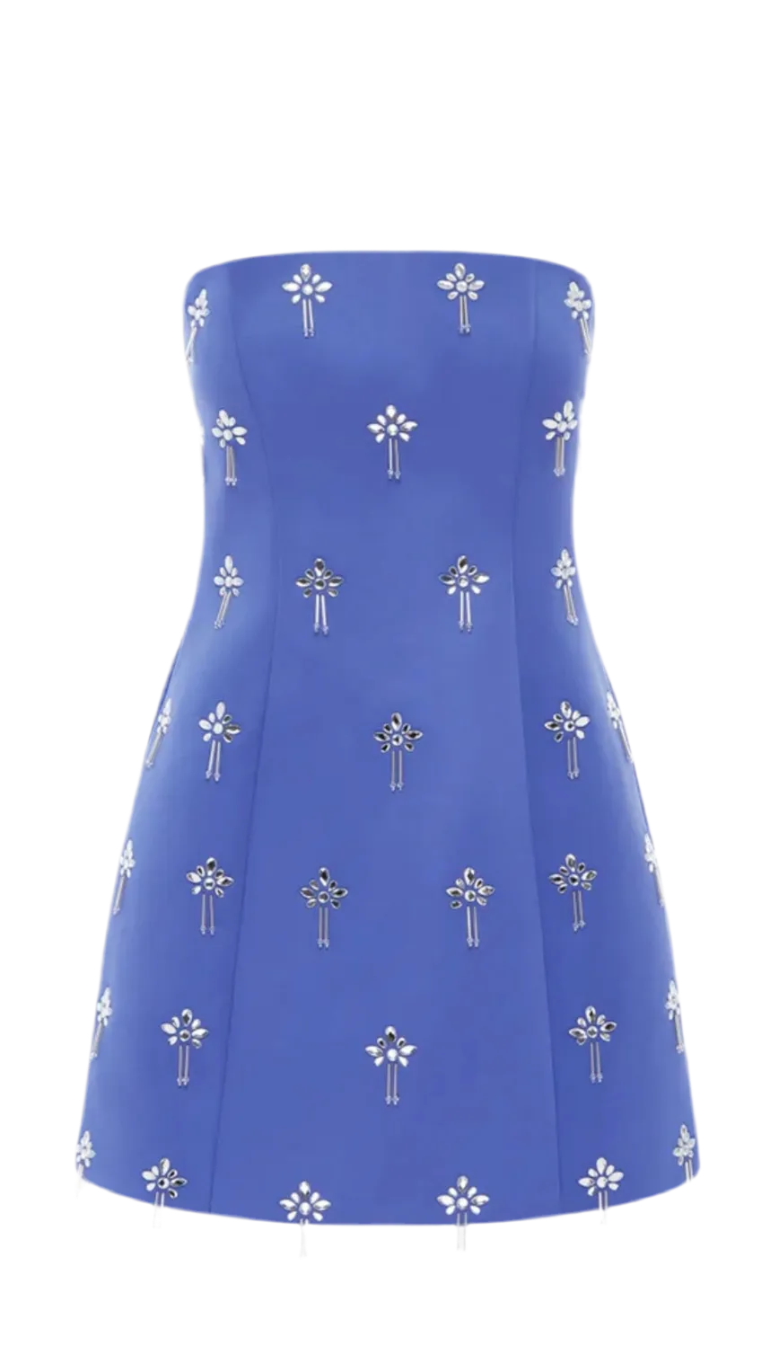 Roselle Embellished Bustier Mini Dress